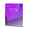 Microsoft Windows 10 Professional Download Licence
