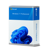 Microsoft Windows 11 Professional Retail Download Licence
